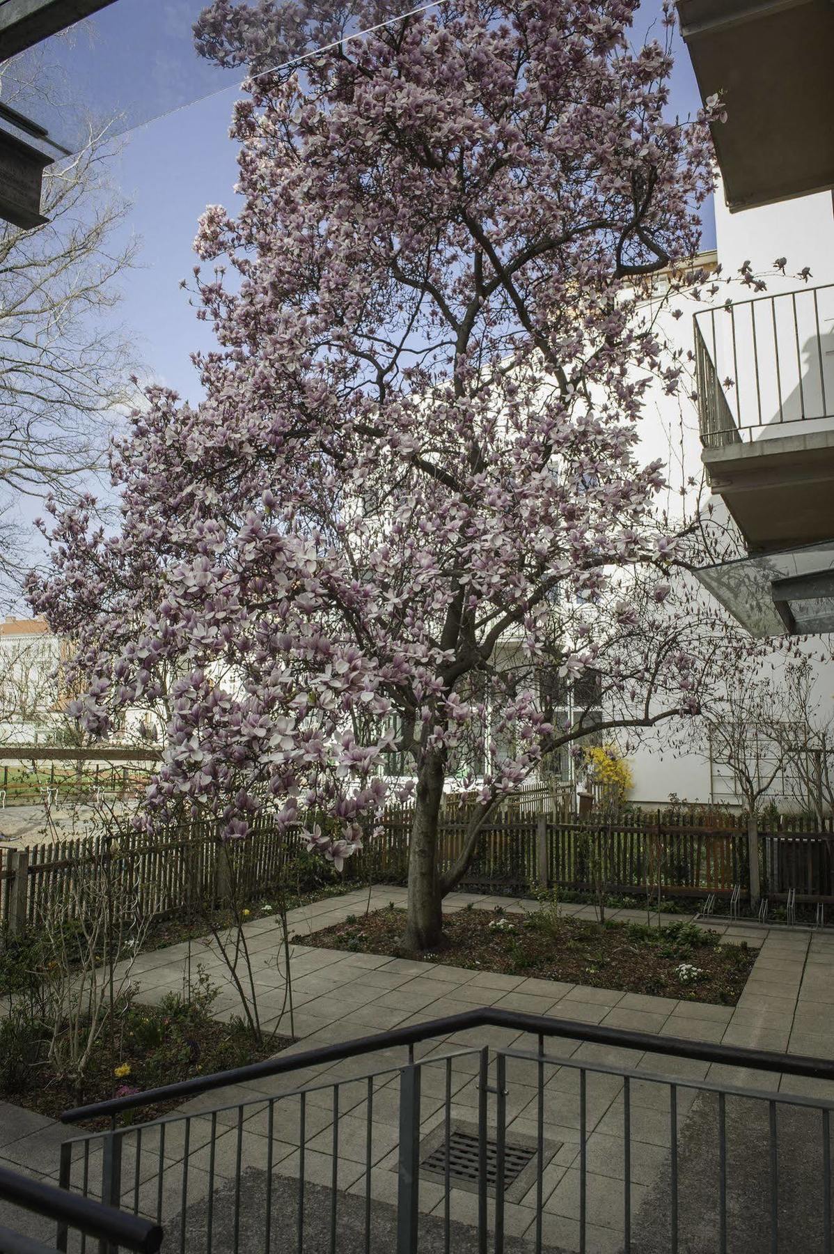 Haus Mobene - Hotel Garni Graz Zewnętrze zdjęcie